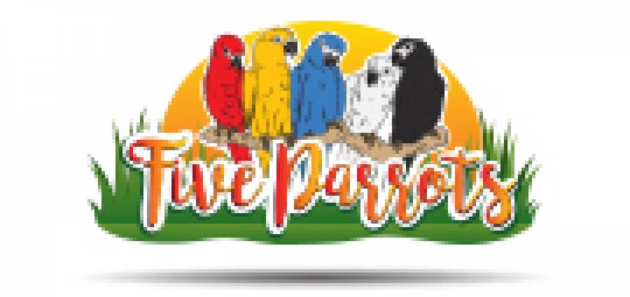 five parrots