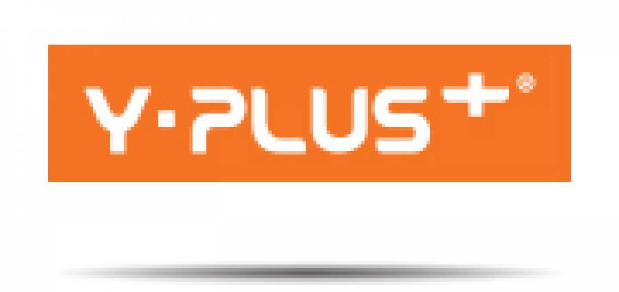 y plus