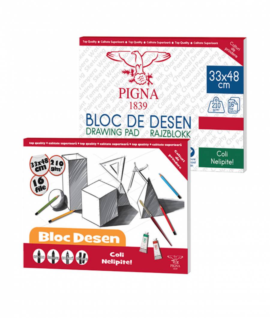 Bloc desen 33X48cm 210g 16file PIGNA