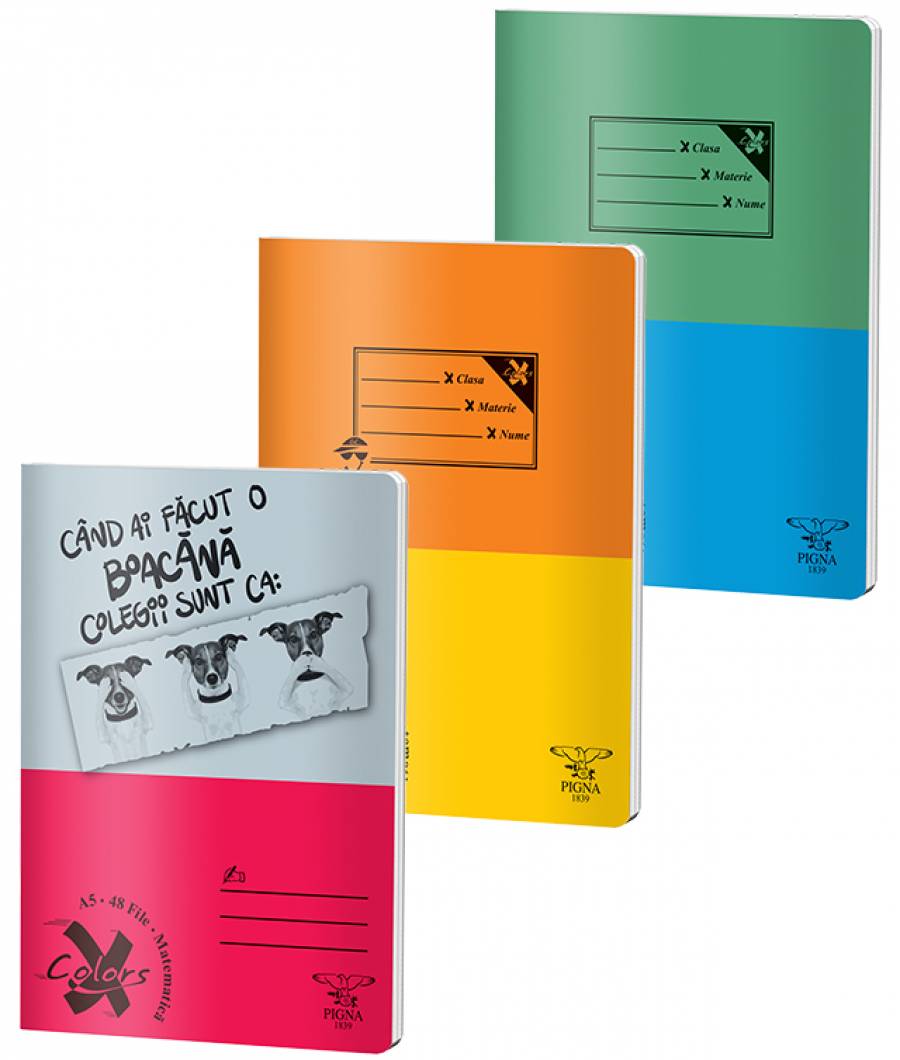 Caiet Matematica, A5, Pigna BASIC, 48file, 60 gr, MIX DESIGN