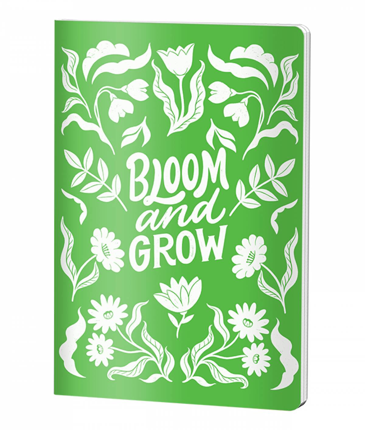 Caiet Capsat Matematica, A4, Pigna , coperta plastic, 60file, 70 gr, BLOOM AND GROW VERDE VM