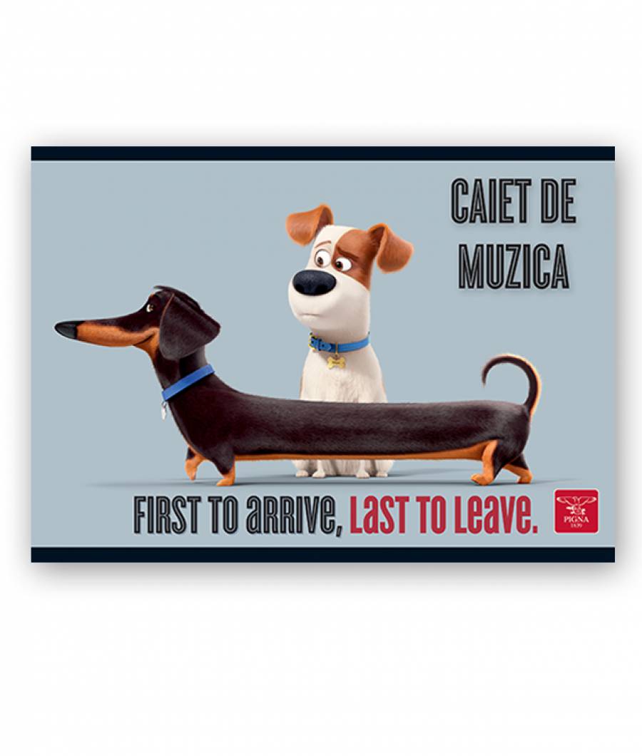 Caiet Muzica 24file SLPets