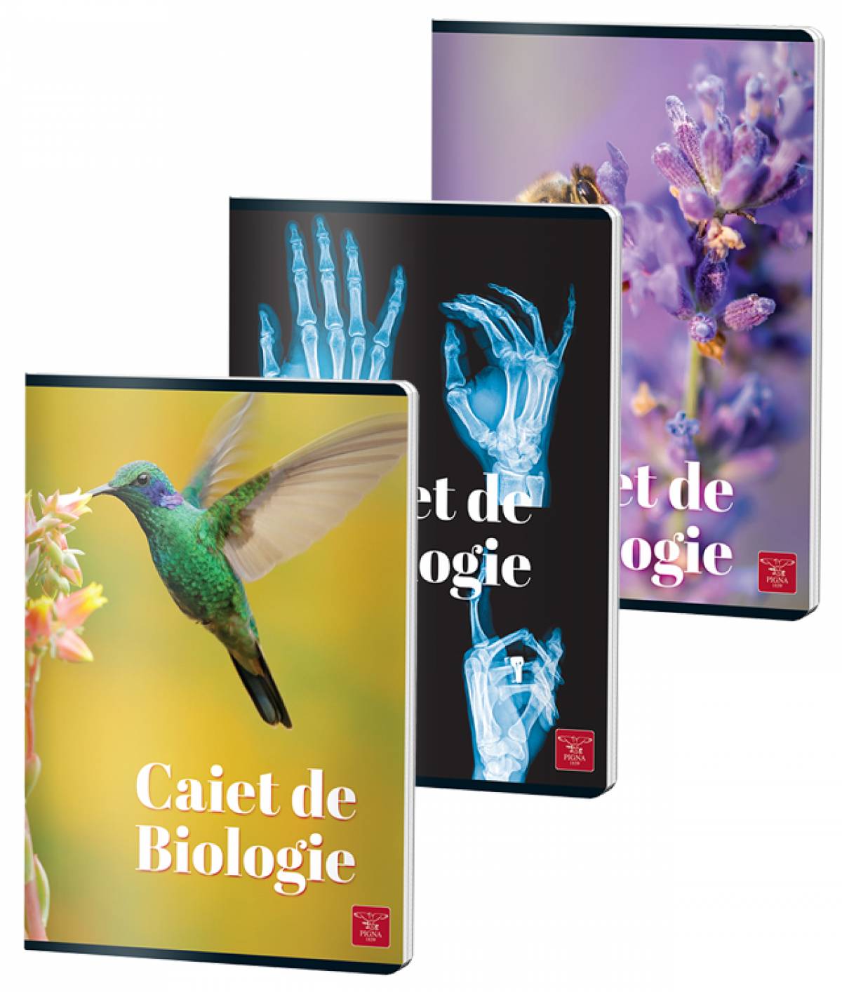 Caiet Biologie, A4, Pigna Clasic, 24file, 70gr