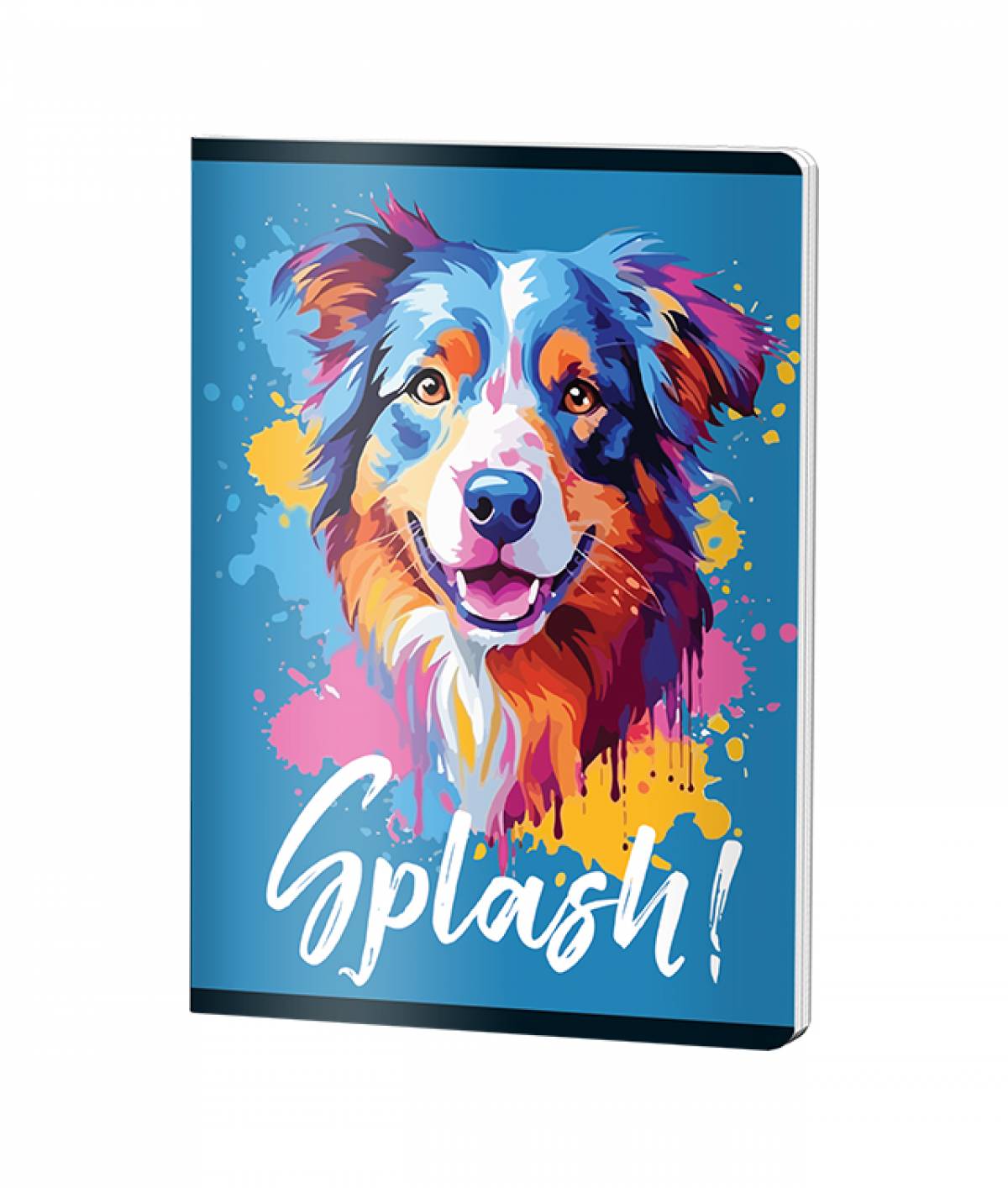 Caiet Capsat Matematica, A5, Pigna CLASIC, 48file, 70 gr, UNI DOG CH