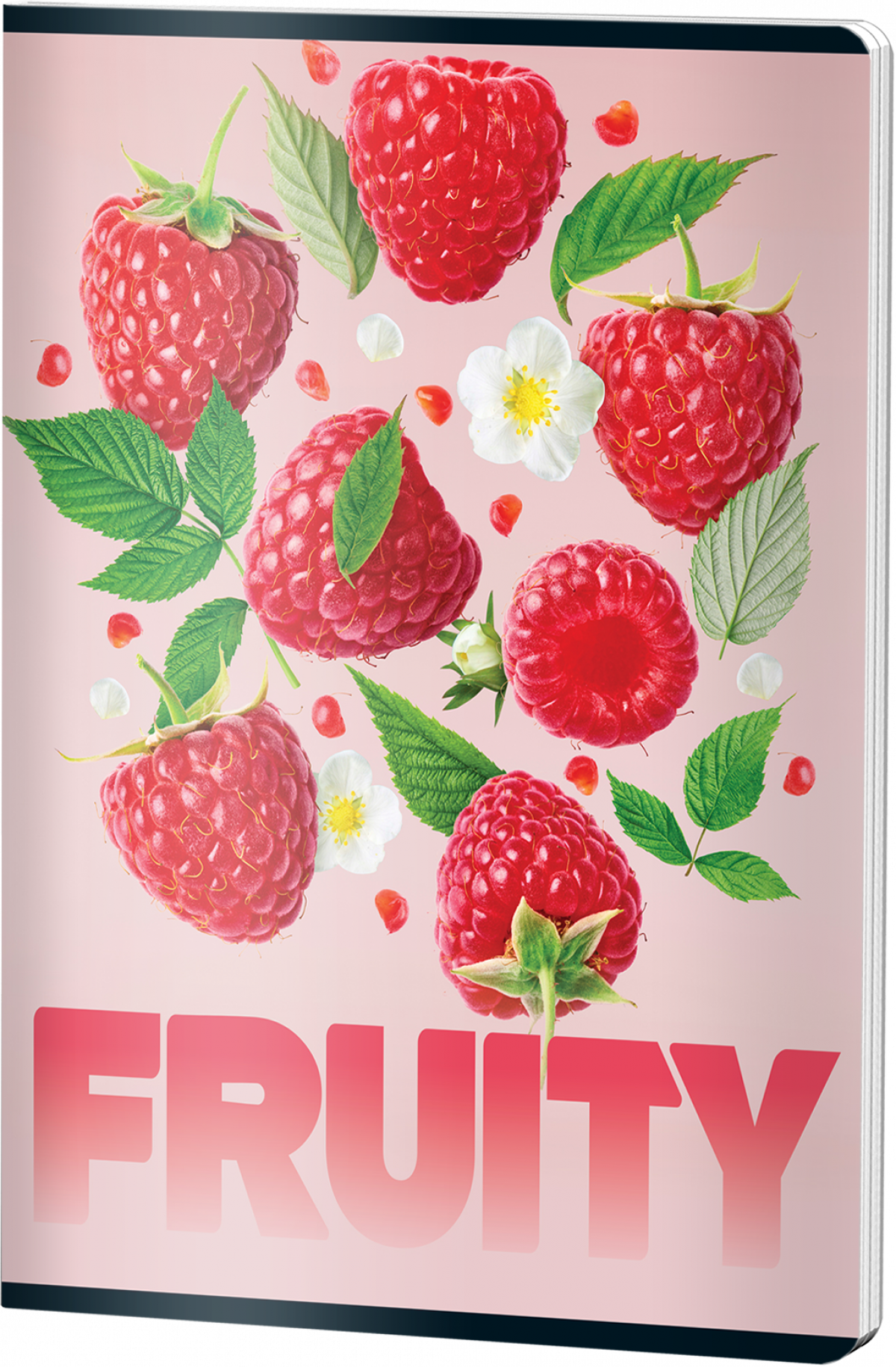 Caiet Matematica, A5, Pigna Clasic, 48file, 70 gr, FETE, FRUIT DN
