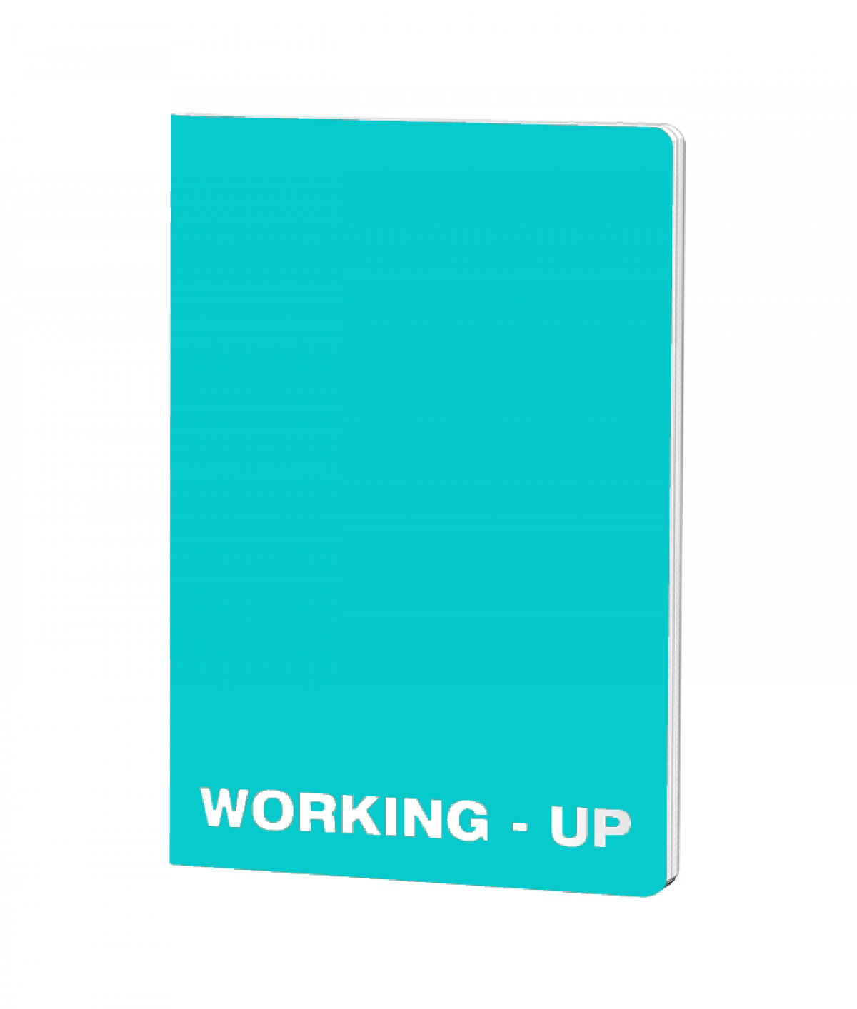 Caiet Matematica, A5, WorkingUp, coperta plastic, 48file, hartie 60gr, ALBASTRU