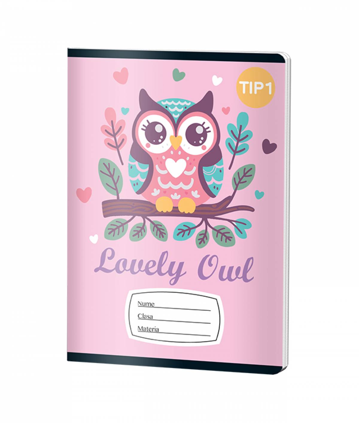 Caiet Tip2 FETE, A5, Pigna, 24 file, hartie 70gr, LUCKY OWL