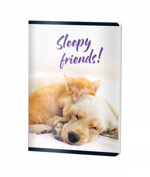 Caiet Capsat Dictando, A5, Pigna CLASIC, 48file, 70 gr, UNI DOG CD