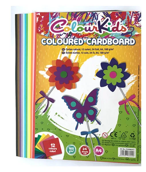 Carton Color A4 160gr 24 coli 12 culori Colour KIDS